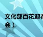 文化部百花迎春文艺晚会（百花迎春文艺界晚会）