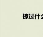 掠过什么意思（lg什么意思）