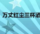 万丈红尘三杯酒 千秋大业一壶茶是什么意思