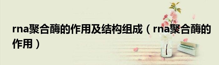 rna聚合酶的作用及结构组成（rna聚合酶的作用）