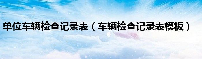 单位车辆检查记录表（车辆检查记录表模板）