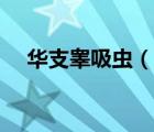 华支睾吸虫（说一说华支睾吸虫的简介）