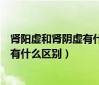 肾阳虚和肾阴虚有什么区别症状吃什么药（肾阳虚和肾阴虚有什么区别）