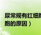 尿常规有红细胞的原因有哪些（尿常规有红细胞的原因）
