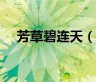 芳草碧连天（说一说芳草碧连天的简介）
