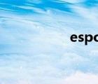espoir唇釉（espoir）