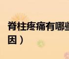 脊柱疼痛有哪些原因女性（脊柱疼痛有哪些原因）