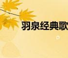 羽泉经典歌曲大全（羽泉歌曲大全）