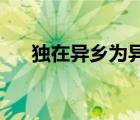 独在异乡为异客每逢佳节倍思亲的节日