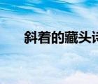 斜着的藏头诗表白（斜着爱情藏头诗）
