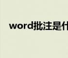 word批注是什么意思（批注是什么意思）