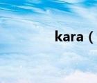 kara（说一说kara的简介）
