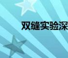 双缝实验深度解析视频（双缝实验）