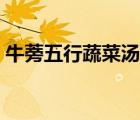 牛蒡五行蔬菜汤的功效（五行蔬菜汤的功效）