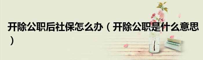 开除公职后社保怎么办（开除公职是什么意思）