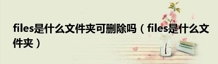 files是什么文件夹可删除吗（files是什么文件夹）