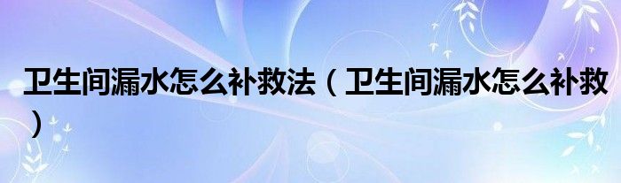 卫生间漏水怎么补救法（卫生间漏水怎么补救）