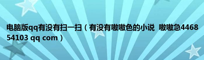 电脑版qq有没有扫一扫（有没有嗷嗷色的小说  嗷嗷急446854103 qq com）