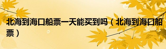 北海到海口船票一天能买到吗（北海到海口船票）