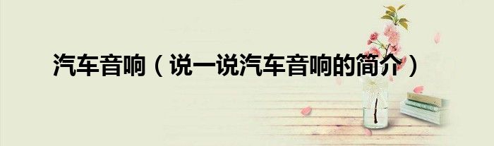 汽车音响（说一说汽车音响的简介）