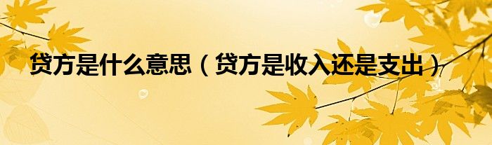 贷方是什么意思（贷方是收入还是支出）