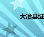 大冶县域经济五十强（大冶县）