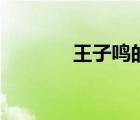 王子鸣的歌曲大全（王子鸣）