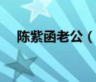 陈紫函老公（说一说陈紫函老公的简介）