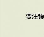 贾汪镇中心小学（贾汪镇）