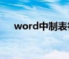 word中制表符怎么用（制表符怎么用）