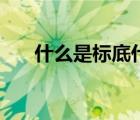 什么是标底什么是三者（什么是标底）
