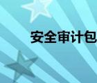 安全审计包括哪些内容（安全审计）
