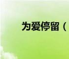 为爱停留（说一说为爱停留的简介）