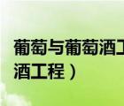 葡萄与葡萄酒工程可以考编制吗（葡萄与葡萄酒工程）