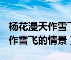 杨花漫天作雪飞的情景150字作文（杨花漫天作雪飞的情景）