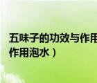 五味子的功效与作用 五味子泡水喝的好处（五味子的功效与作用泡水）