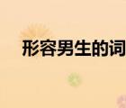 形容男生的词语搞笑（形容男生的词语）