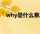 why是什么意思 翻译（why是什么意思）