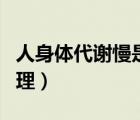 人身体代谢慢是什么原因（人体代谢慢怎么调理）
