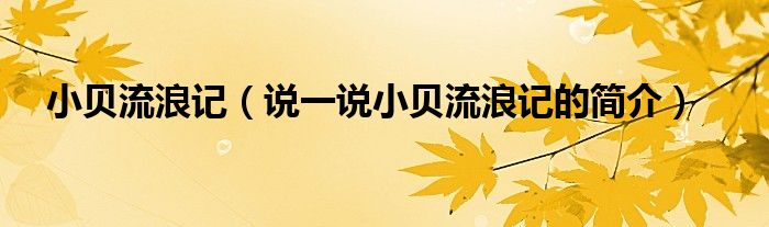 小贝流浪记（说一说小贝流浪记的简介）