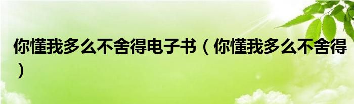你懂我多么不舍得电子书（你懂我多么不舍得）