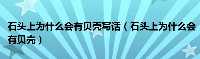 石头上为什么会有贝壳写话（石头上为什么会有贝壳）