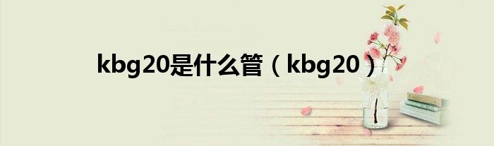 kbg20是什么管（kbg20）