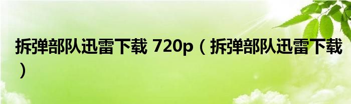 拆弹部队迅雷下载 720p（拆弹部队迅雷下载）