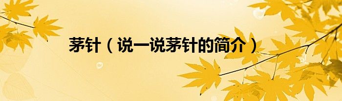 茅针（说一说茅针的简介）