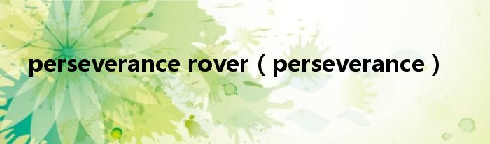 perseverance rover（perseverance）