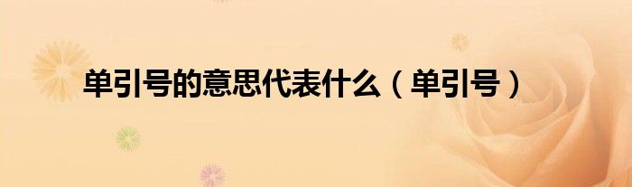 单引号的意思代表什么（单引号）