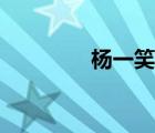 杨一笑传拼音（杨一笑传）