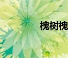 槐树槐花儿歌（槐树槐花）