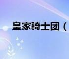 皇家骑士团（说一说皇家骑士团的简介）